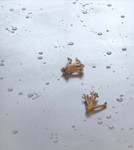 037.ATELIERS-WOONHUIS -'BIG FORTUNE' 2024-PH.GJ.vanROOIJ.jpg