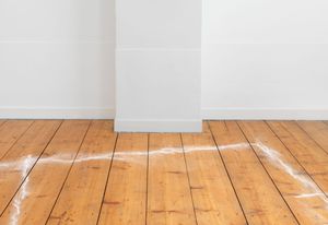 046.ATELIERS-'...WHEN THE DOGS BARKED...' 2024-PH.GJ.vanROOIJ.jpg