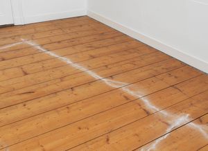 051.ATELIERS-'...WHEN THE DOGS BARKED...' 2024-PH.GJ.vanROOIJ.jpg