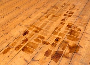 060.ATELIERS-WOONHUIS -'BIG FORTUNE' 2024-PH.GJ.vanROOIJ.jpg